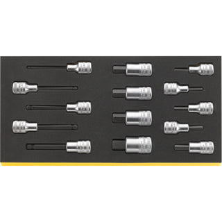 Stahlwille 97830820  1120 TCS Workshop set for VW/Audi (basic)