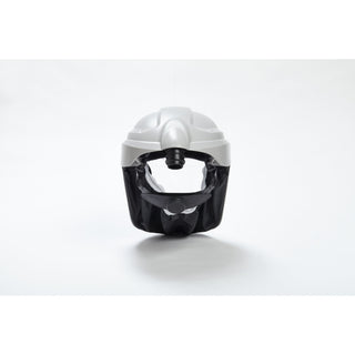 3M Versaflo Respiratory Faceshield Assembly M-206/37299(AAD)