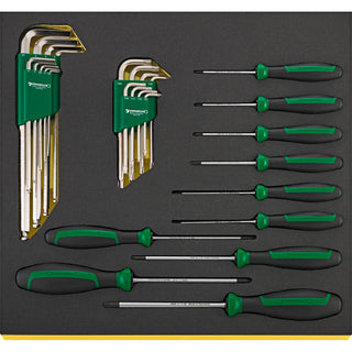 Stahlwille 97830820  1120 TCS Workshop set for VW/Audi (basic)
