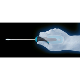 Hazet 810-PZ1 Screwdriver, Pozidriv, PZ1