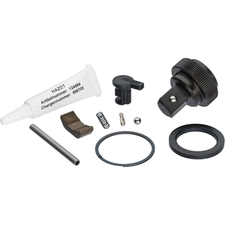Hazet 916HP/10 Replacement set for ratchet wheel