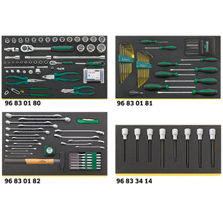 Stahlwille 97830607 2502 TCS Workshop set for BMW motorbikes