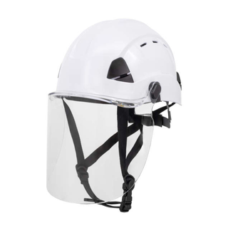 DEWALT RDNS-DPG22-C  Polycarbonate Face Shield - Clear