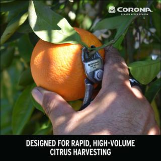 Corona AG 5060 Orange and Apple Bypass Shears