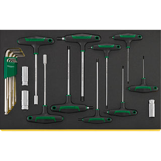 Stahlwille 97830606 2501N TCS Workshop set for BMW motorbikes