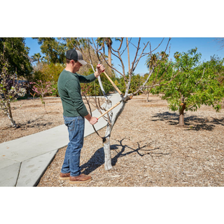 CORONA-WL 6420 · ClassicCUT® Bypass Lopper - 26 Inch