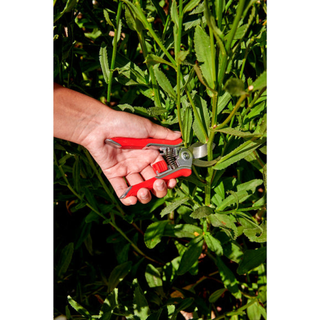 Corona BP13624 · Mini House Plant Pruner