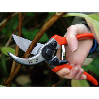 Corona GTO/SC Bypass Pruner, with Replacement Blade & Spring, RHS Endorsed
