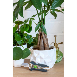 Corona GIG/PRUNER Houseplant Pruner, 1/4 in. Cut Capacity