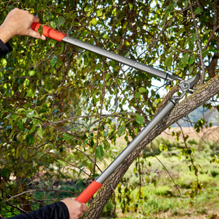 Corona-SL15167 · ClassicCUT® Bypass Lopper - 31 Inch