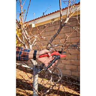 Corona-RP 3230 · Ratchet Pruner - 3/4 Inch