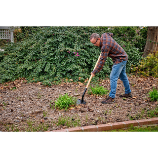 Corona SS 26000 Round Point Shovel, 15-Gauge, 12. in Head, 48 in. Wood Handle
