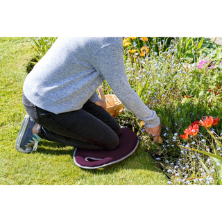 Corona GKN/PLUM2 Kneelo Kneeler, Plum