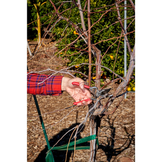 CORONA-BP 3130 · ClassicCUT Bypass Pruner - 1/2 Inch