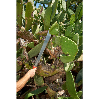Corona MA 60062 · Machete - 22 Inch
