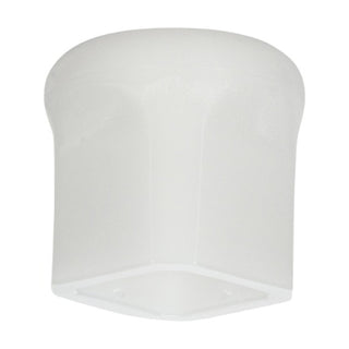 Picard 0000120-1000 Nylon Caps for Riveting Hammer, 1000g