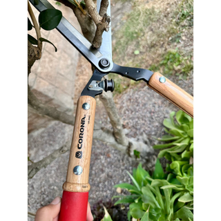 Corona HS 6960  ResharpenableBLADE Hedge Shears - 10 Inch