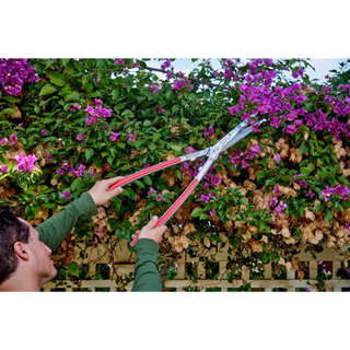 Corona HS15340CC PrecisionCUT Aluminum Hedge Shears 7-1/4 in. blades, 12-3/4 in. handles