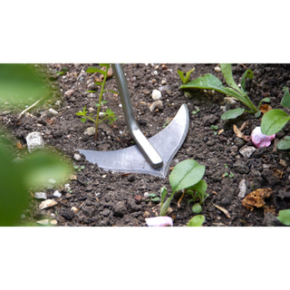 Corona GTC/SLICE Burgon & Ball® FSC Wood Weed Slice