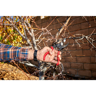 Corona BP 3640  ErgoACTION Bypass Pruner - 3/4 Inch