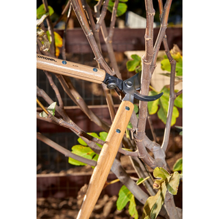 Corona WL 6350 Hickory Handle ClassicCU Bypass Lopper, 26 in., 1-1/2 in. Cut Capacity