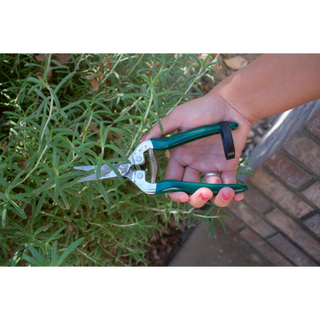 Corona GTO/FFS  RHS® Flower & Fruit Snip