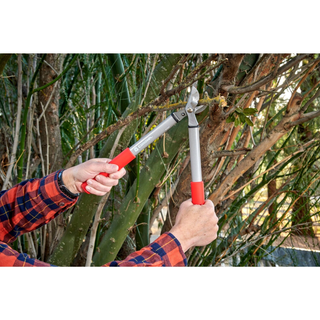 Corona BP 3225D Classiccut Two-Handed Pruner - 3/4 Inch