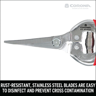 Corona AG 4940SS  Long Curved Snips - Stainless Steel, 1¾ Inch