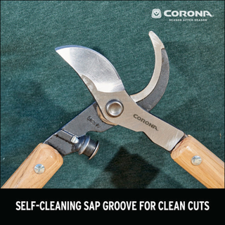 Corona WL 6450 ClassicCUT® Bypass Lopper - 32 Inch