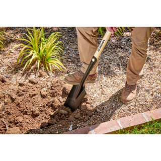 Corona SS16301  D-Handle Drain Spade