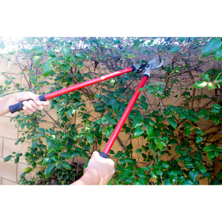 Corona SP10004 · Corona Pruner Lopper and Shear Bonus Pack