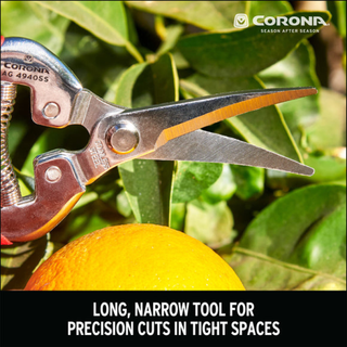 Corona AG 4940SS  Long Curved Snips - Stainless Steel, 1¾ Inch