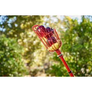 Corona FP 2312 Extendable Fruit Picker, 12 ft.