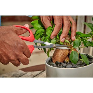 Corona FS14530  Precision Scissors