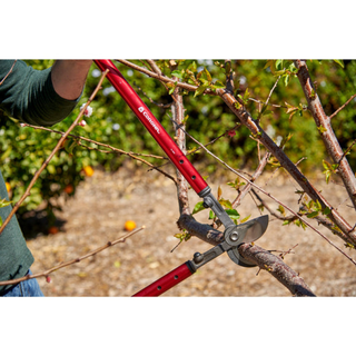 Corona AL 6512 High-Torque Bypass Lopper - 26 Inch
