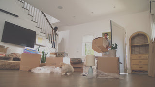 3M Product Video