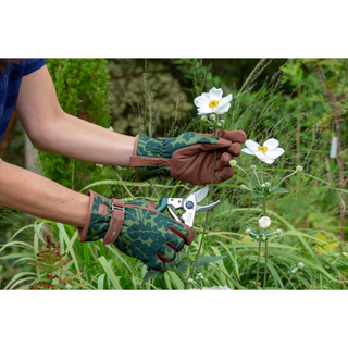 Corona GLO/OAKMOSSML Love the Glove Garden Gloves, Oak Leaf Moss, Medium/Large