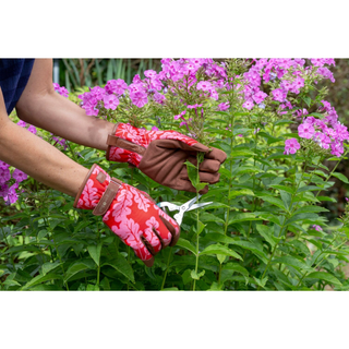 Corona GLO/OAKPOPPYSM Love the Glove Garden Gloves, Oak Leaf Poppy, Small/Medium
