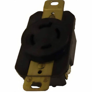 Ridgid 46508 Pump