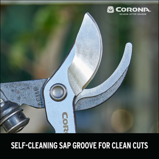 Corona WL 6310 Hickory Handle ClassicCUT Bypass Vine Lopper, 20 in., 1-1/4 in. Cut Capacity