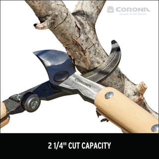 Corona WL 6470  ClassicCUT® Bypass Lopper - 36 Inch