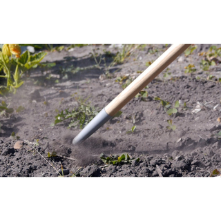 Corona GTC/SLICE Burgon & Ball® FSC Wood Weed Slice