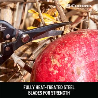 Corona AG 4940  Long Curved Snips - Tempered Steel, 1¾ Inch