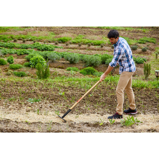 Corona-RK 64002 · Level Head Rake - 16 Inch/16 Tines