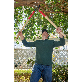 Corona WL 6490 SuperDUTY Bypass Lopper, 37 in. Hickory Handles, 3 in. Cut Capacity