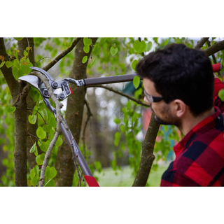 Corona-SL 8180 · DualLINK Forged Bypass Lopper - 31 Inch