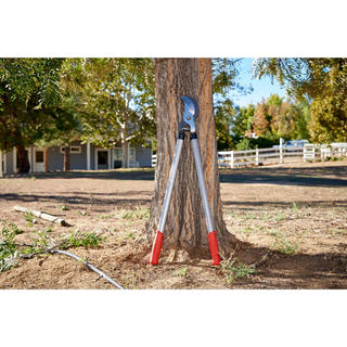 Corona SL 6500 Super-Duty Bypass Lopper, 3 in. Cut Capacity