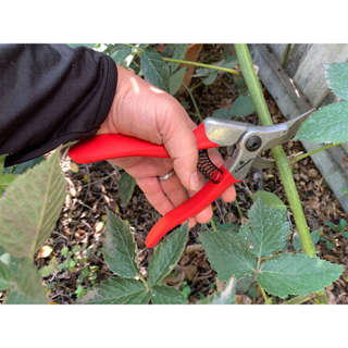 Corona BP15280 ErgoPRO Bypass Hand Pruner - 1 Inch
