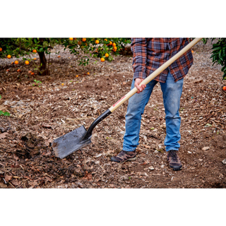 Corona SS 27000  #2 Square Point Shovel