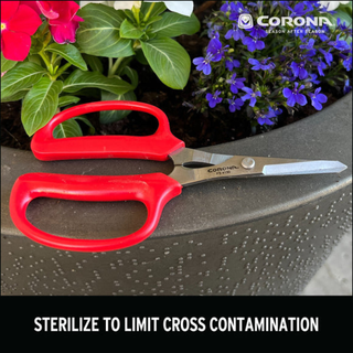 Corona FS 4130  Hydroponic Scissors